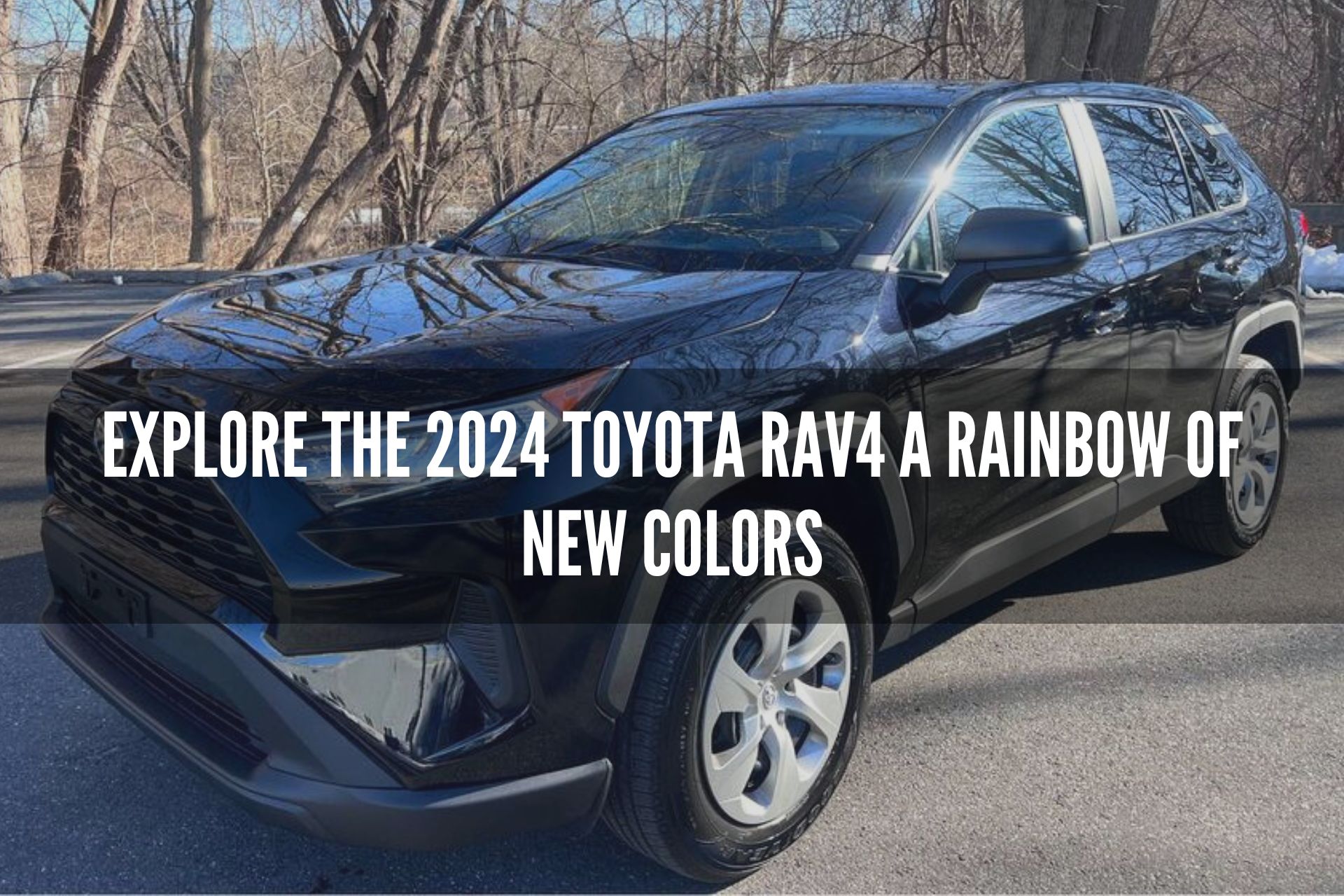 Explore the 2024 Toyota RAV4: A Rainbow of New Colors